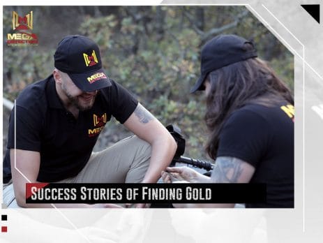 Gold Detector