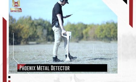 Phoenix Metal Detector