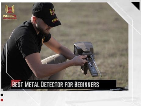 Best Metal Detector for Beginners