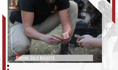 Finding Gold Nuggets