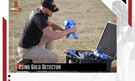 Using Gold Detector